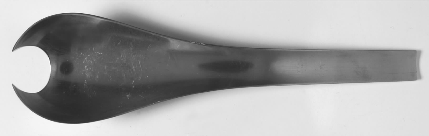 Blue Shark (Stainless) Solid Serving Fork by Georg Jensen (Denmark)-1