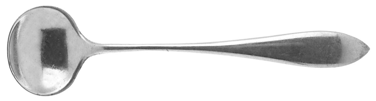 Mothers-Old (Sterling, 1875) Master Salt Spoon by Gorham Silver-1