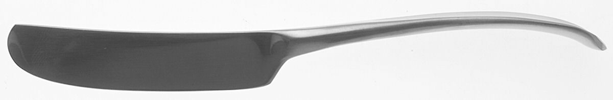 Vivianna (Stainless, Satin) Solid Butter Spreader/Youth Knife by Georg Jensen (Denmark)-1