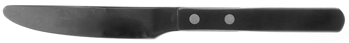 Trattoria (Stainless, Plastic) Dessert Knife with Stainless Blade by Ginkgo-1
