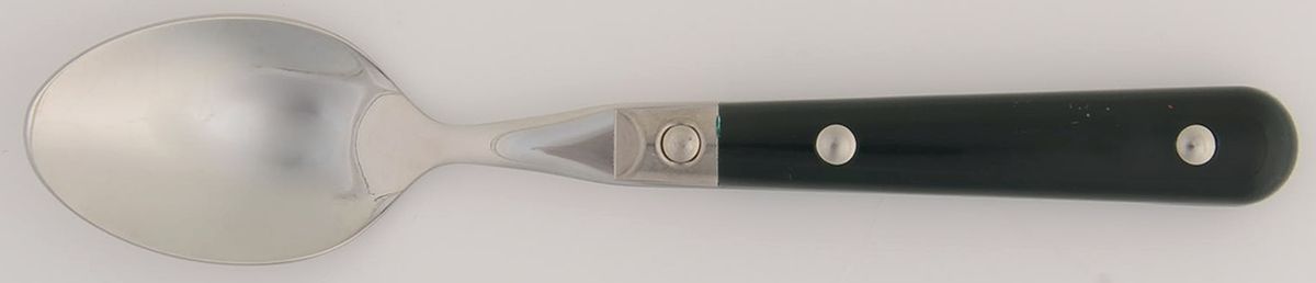 Le Prix-Green (Stainless) Teaspoon by Ginkgo-1