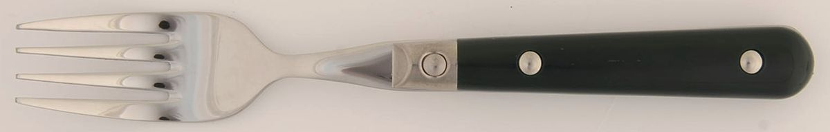 Le Prix-Green (Stainless) Individual Salad Fork by Ginkgo-1