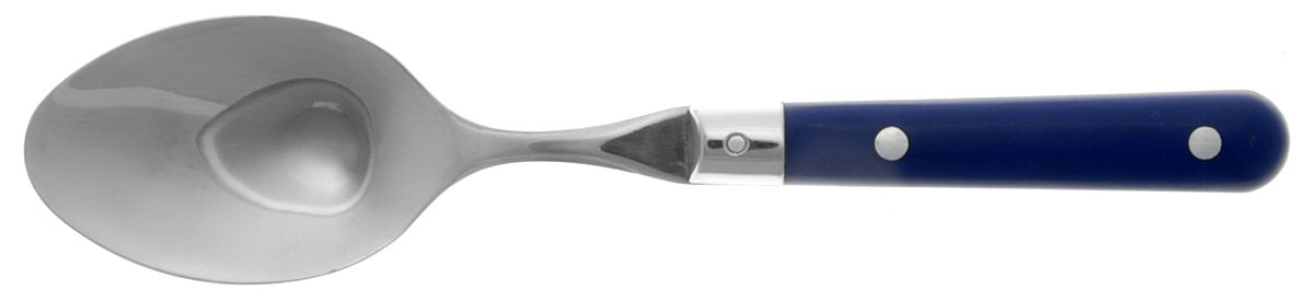 Le Prix-Blue (Stainless) Solid Serving Spoon by Ginkgo-1