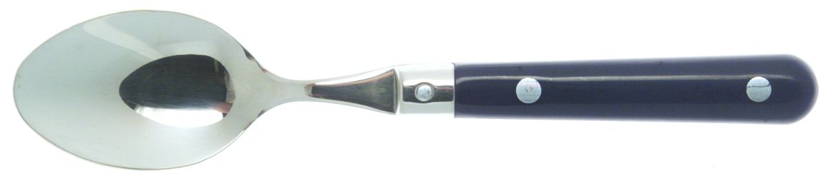 Le Prix-Navy Blue (Stainless) Teaspoon by Ginkgo-1
