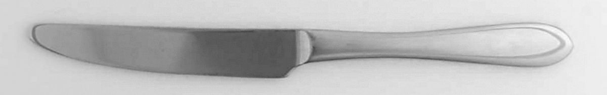 Linden (Stainless) Dessert Knife with Stainless Blade by Ginkgo-1
