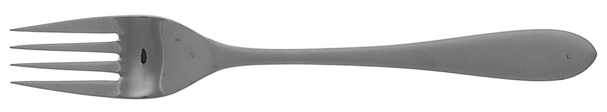 Meridian (Stainless, Frost-Glossy) Individual Salad Fork by Ginkgo-1
