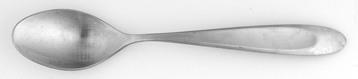 Stand By (Stainless) Teaspoon by Gourmet Settings-1