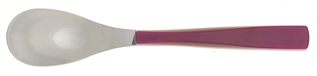 Quartz Amethyst (Stainless) Teaspoon by Guy Degrenne-1