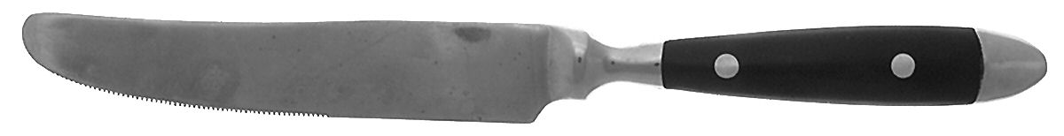 Bistro Black (Stainless) New French Hollow Knife by Hampton Silversmiths-1