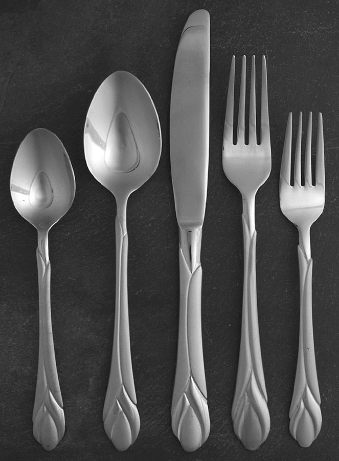 Lily Frosted (Stainless) 5 Piece Place Setting by Hampton Silversmiths-1