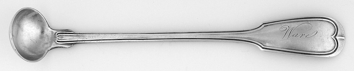 HYD1 (Coin) Mustard Spoon by Hayden, Brothers & Co.-1