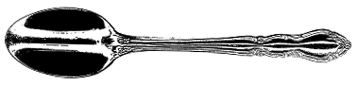 HCV1(Stainless) Teaspoon by Home Accents-1