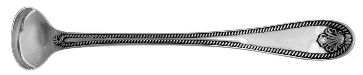 Cable-Variation (Coin, 1858) Mustard Spoon by Henry L. Webster & Co-1