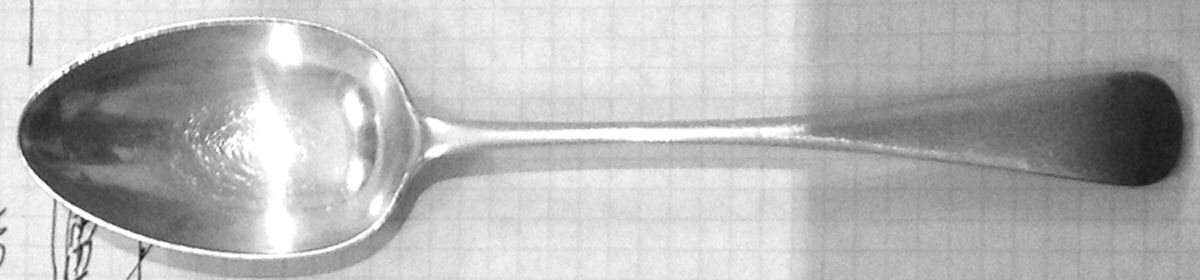 HTL1 (Silverplate) Place/Oval Soup Spoon by Hamilton, Laidlaw & Co-1