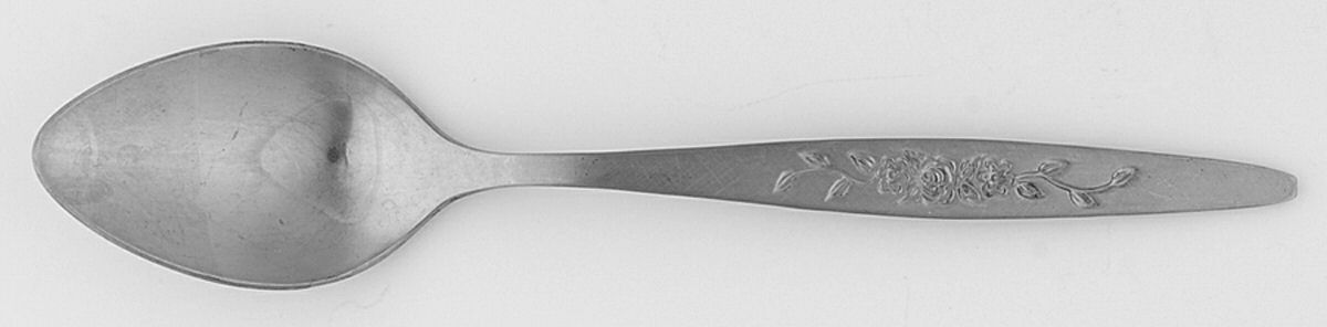 INS110 (STAINLESS) Teaspoon by International Silver-1