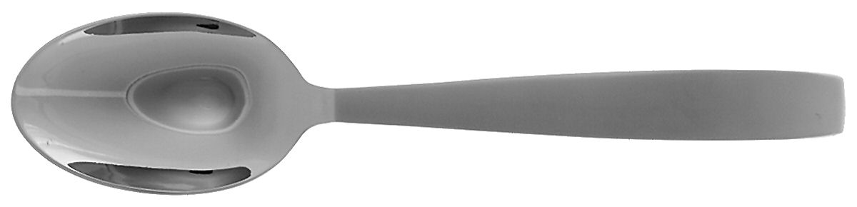 Houston-Matte (Stainless) Solid Serving Spoon by Ralph Lauren Flatware-1