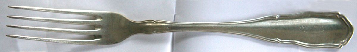 LPG4  Fork by L Posen-1