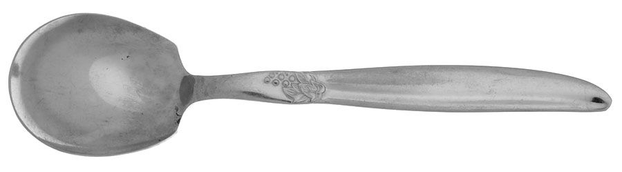 Grape (Stainless) Sugar Spoon by Montgomery Ward-1