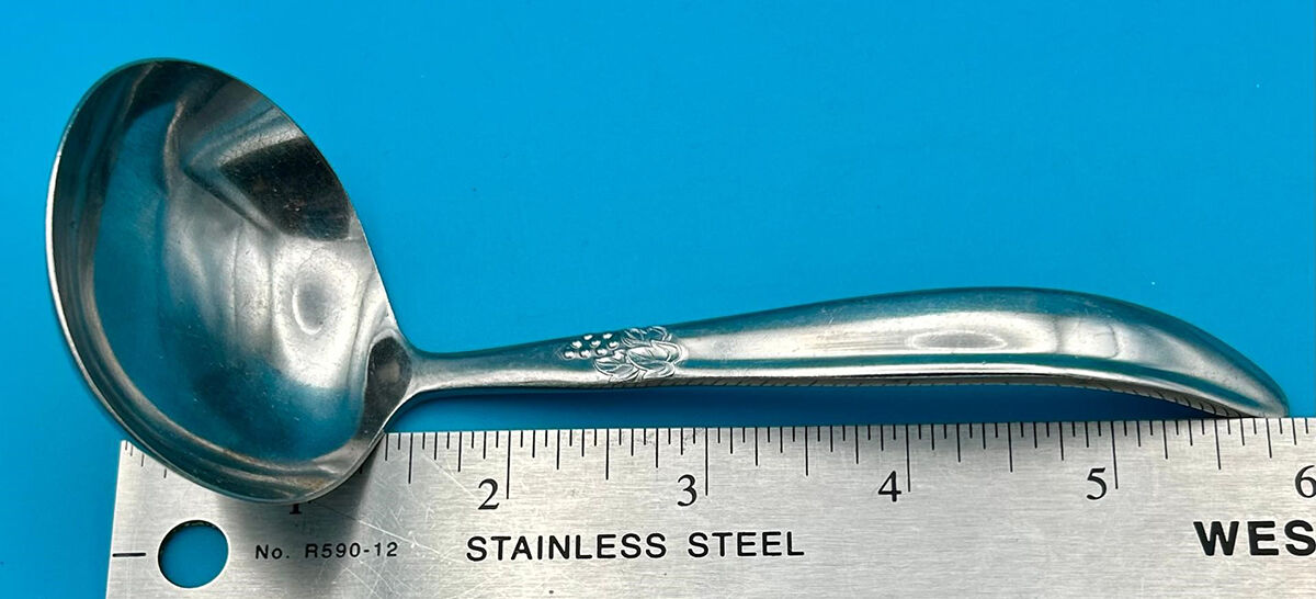 Grape (Stainless) Solid Gravy Ladle by Montgomery Ward-1