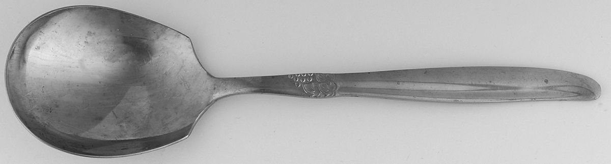 Grape (Stainless) Solid Smooth Casserole Spoon by Montgomery Ward-1