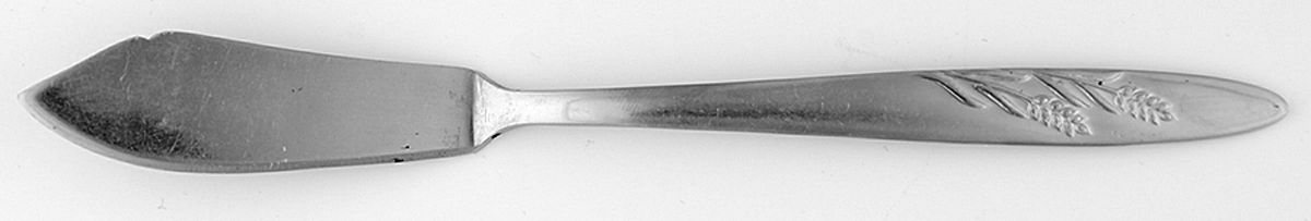 MWD12 (Stainless) Flat Handle Master Butter Knife by Montgomery Ward-1