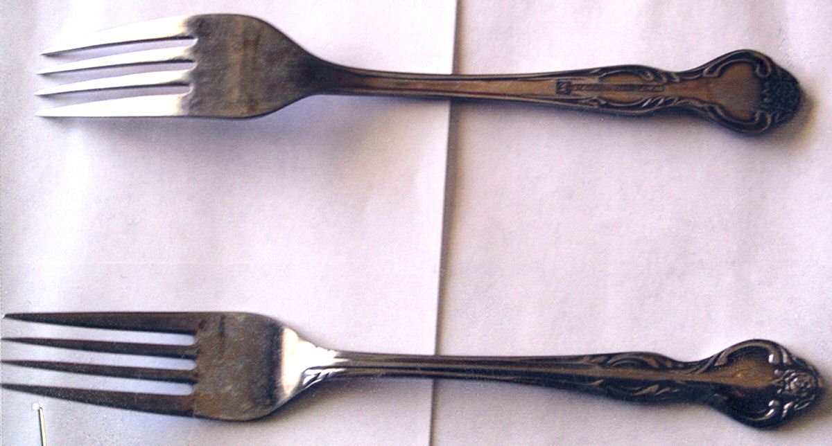 MWD17 (Stainless) Fork by Montgomery Ward-1