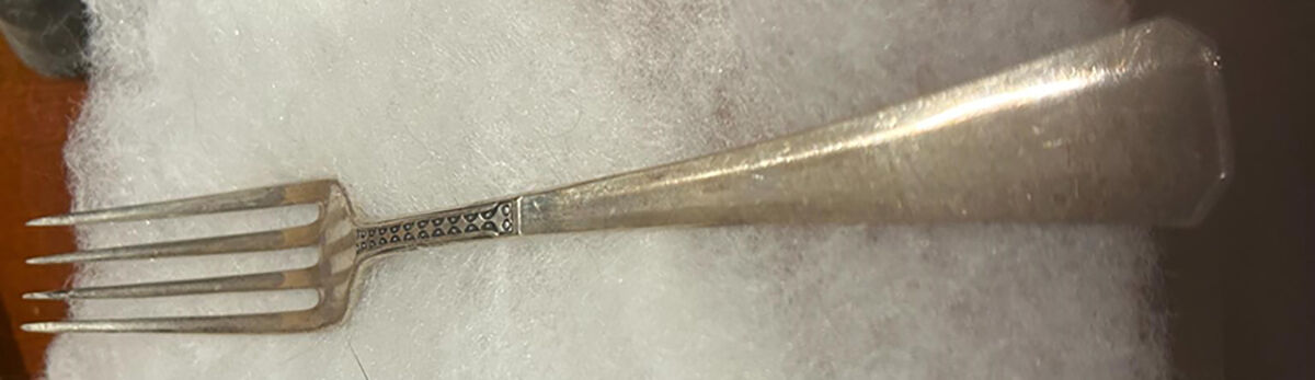 MJR2 (800) Fork by M. J. Ruckert-1