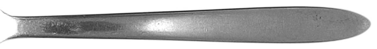 NRD2 (STAINLESS) Fork by Nordan-1