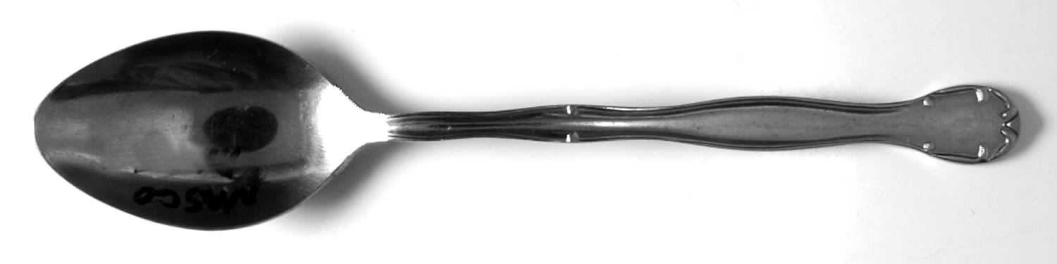 Delft (Stainless) Teaspoon by Nasco-1