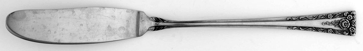Beauvais (Stainless) Flat Handle Master Butter Knife by National Stainless-1