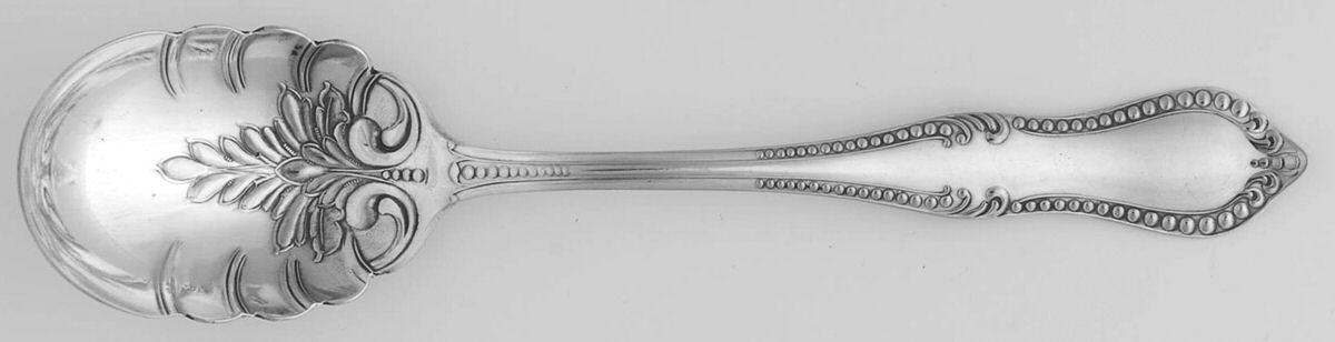 Beaded-Niagara Falls Sugar Shell Spoon by Oneida Silver-1