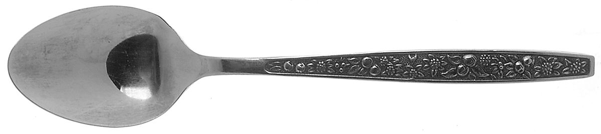 Harvest (Stainless) Teaspoon by Pageant-1