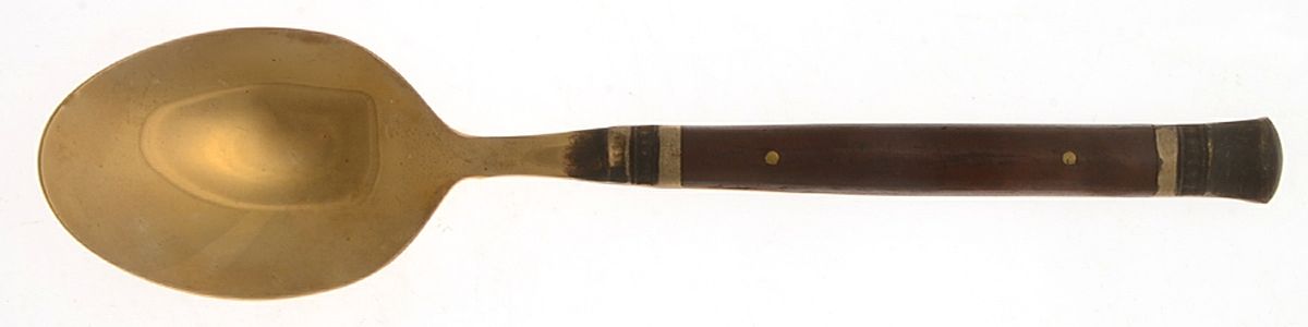 Rosewood (Bronze) Place/Oval Soup Spoon by Pottery Barn-1