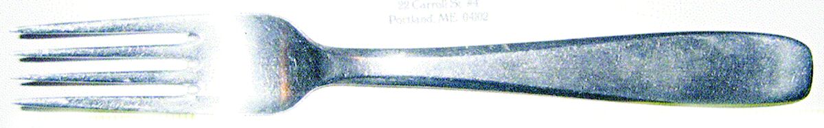 PFR10 (Stainless) Fork by Pfeiffer-1