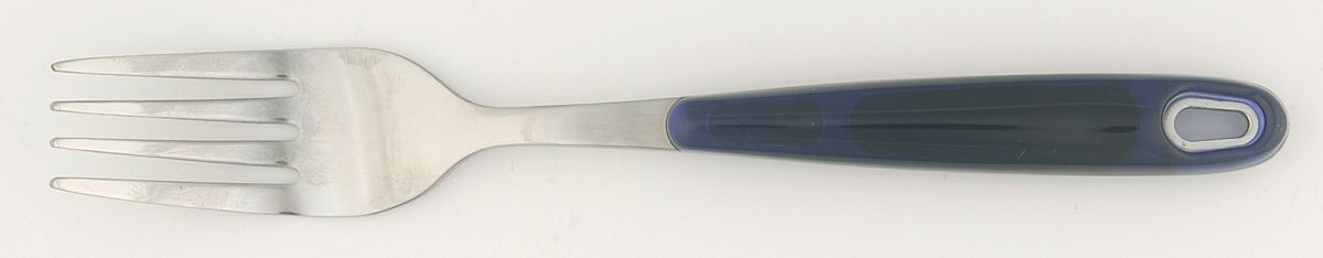 Sierra-Blue (Stainless, Plastic) Individual Salad Fork by Pfaltzgraff-1
