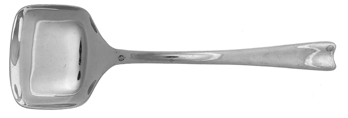 Tablet (Stainless) Solid Salad Serving Spoon by RLM Home-1