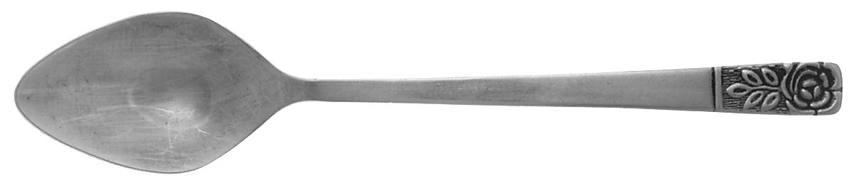SRE1 (STAINLESS) Teaspoon by St Regis-1