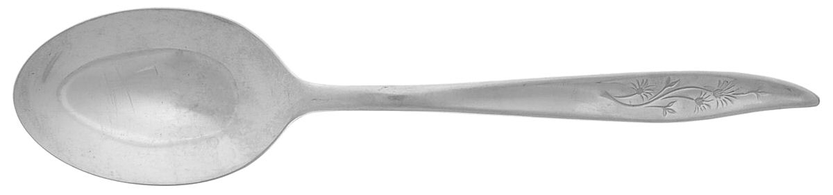 Misty Isle (Stainless) Place/Oval Soup Spoon by Sears Roebuck-1