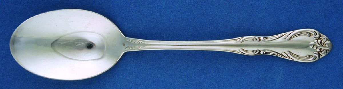Royal Baroque (Stainless) Tablespoon (Serving Spoon) by Sears Roebuck-1