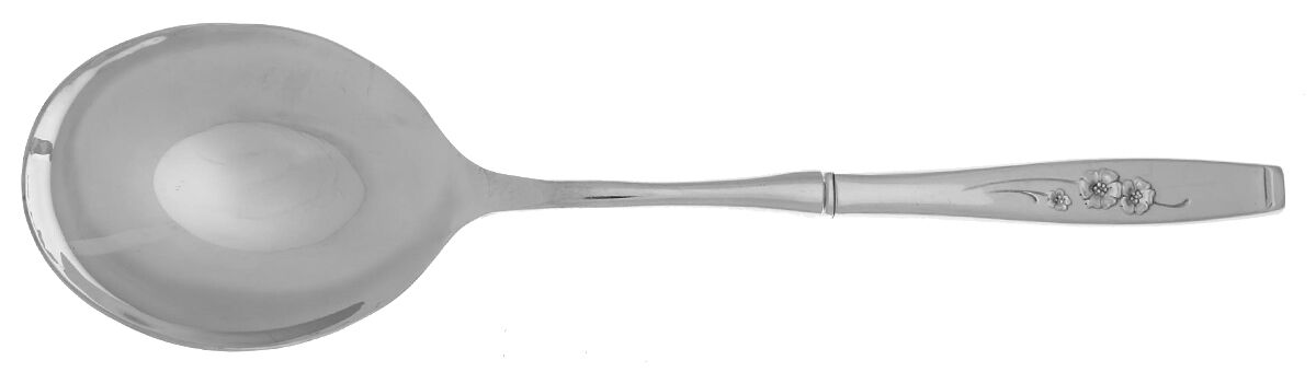 Fancy Free (Stainless) Casserole Spoon with Smooth Stainless Bowl HC by Style House-1