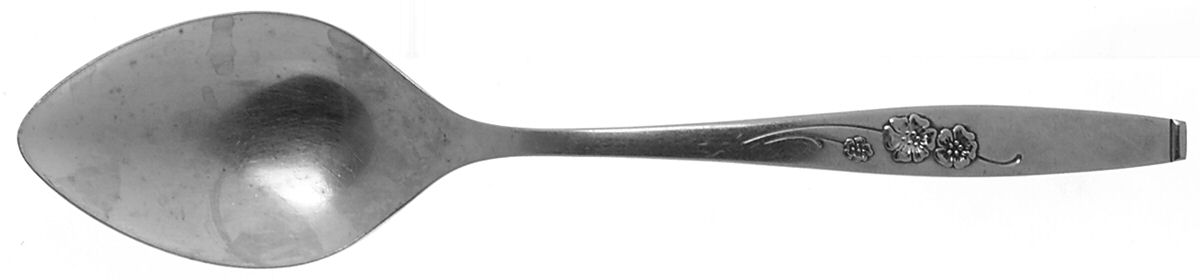 Fancy Free (Stainless) Tablespoon (Serving Spoon) by Style House-1