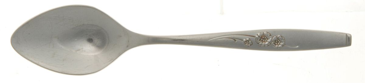 Fancy Free (Stainless) Teaspoon by Style House-1