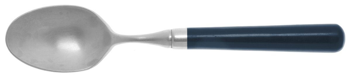 Spectrum-Navy Blue Teaspoon by Stanley Roberts-1