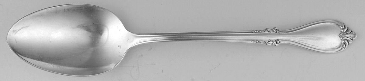 Southern Splendor (Silverplate) Tablespoon (Serving Spoon) by Society Deluxe-1