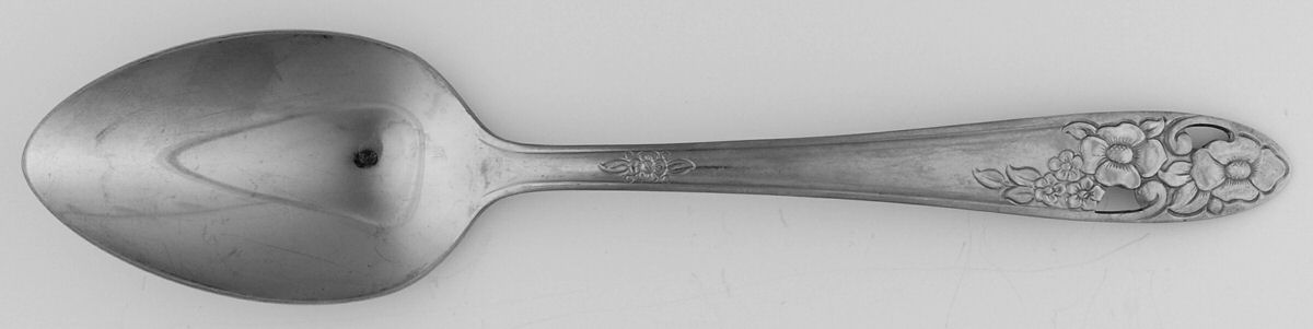 Maytime (Stainless) Tablespoon (Serving Spoon) by Saladmaster-1
