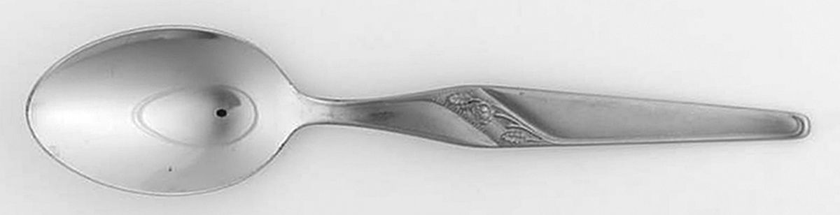 SLK6 (STAINLESS) Teaspoon by Silkema-1
