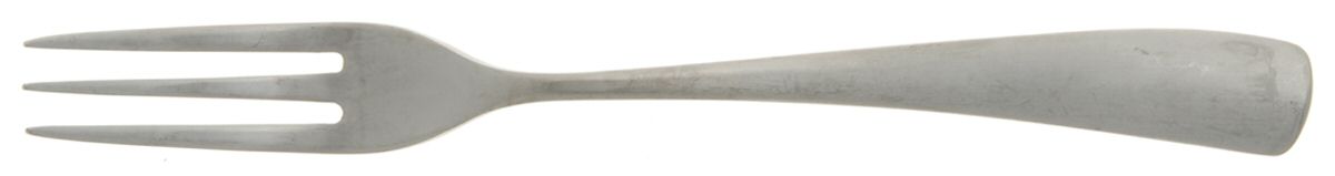 Larch-Satin (Stainless) Individual Salad Fork by Studio William-1