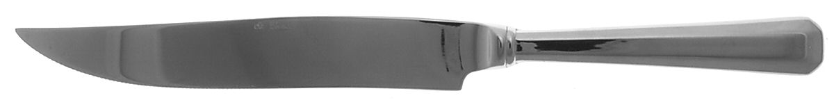 S2G1 (Stainless) Small Steak Carving Knife with Stainless Blade by St Germain-1