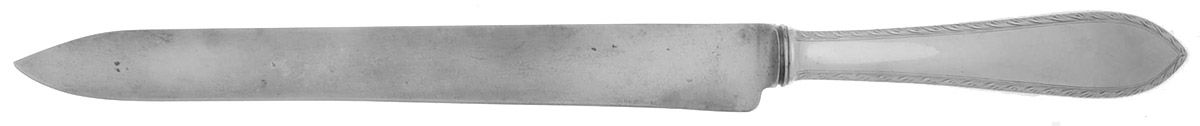 Feather Edge (Sterling, 1901) Large Stainless Blade Roast Carving Knife by Tiffany & CO SILVER-1
