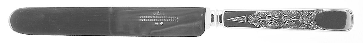 Antique Ivy (Sterling, 1870, No Monograms) Blunt Hollow Knife with Bolster by Tiffany & CO SILVER-1
